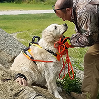 WI K9 SOS Image of K9 Lilly